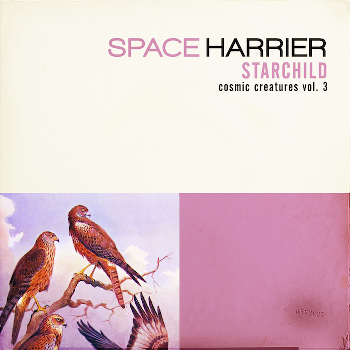 space harrier 700x700